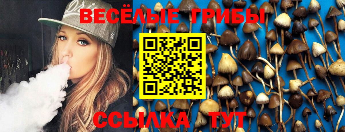 Псилоцибиновые грибы MAGIC MUSHROOMS  Вход с VPN  Бирск  где купить наркоту  Галлюциногенные грибы GOLDEN TEACHER 